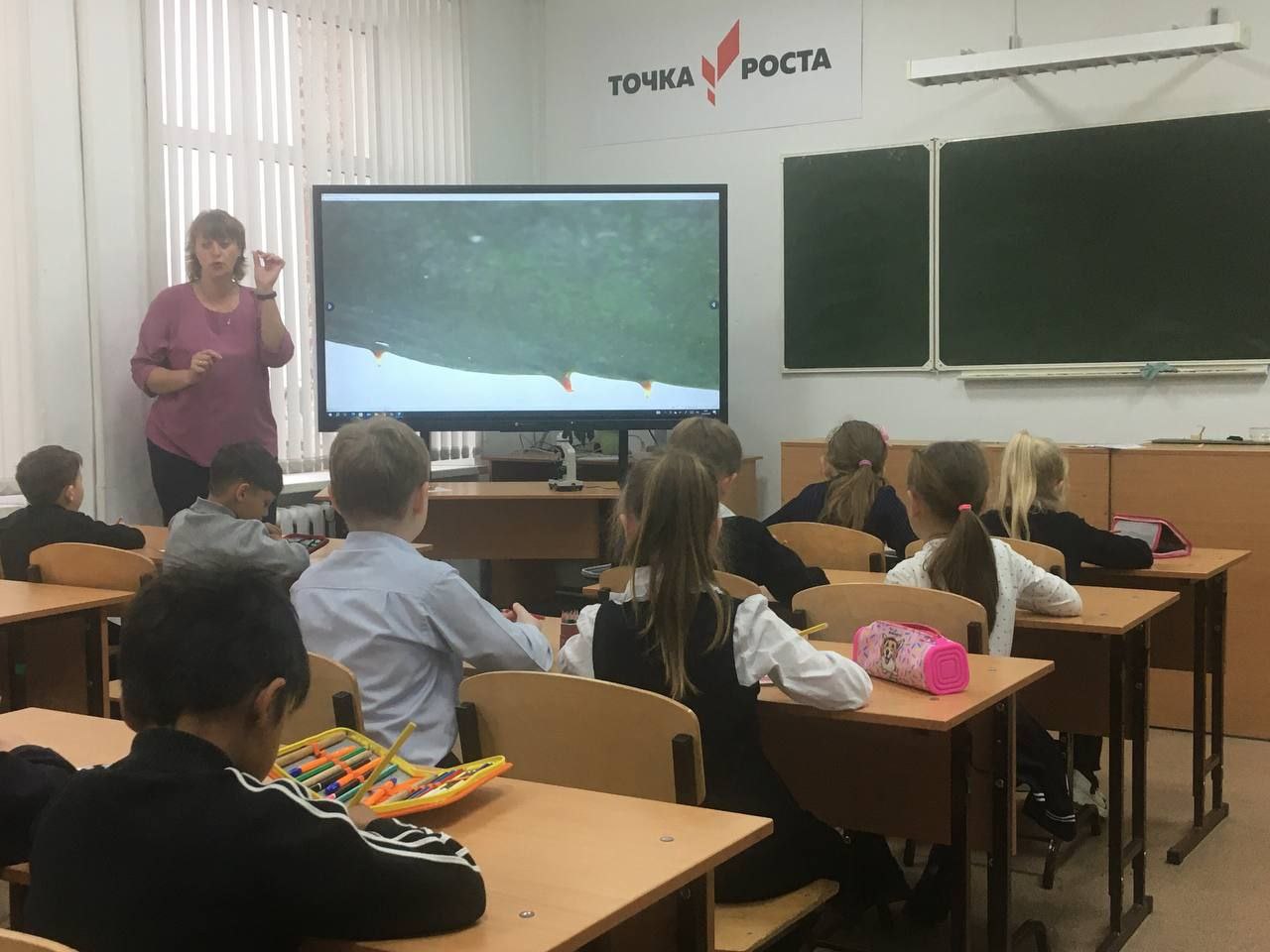 1 класс в Точке Роста по биологии