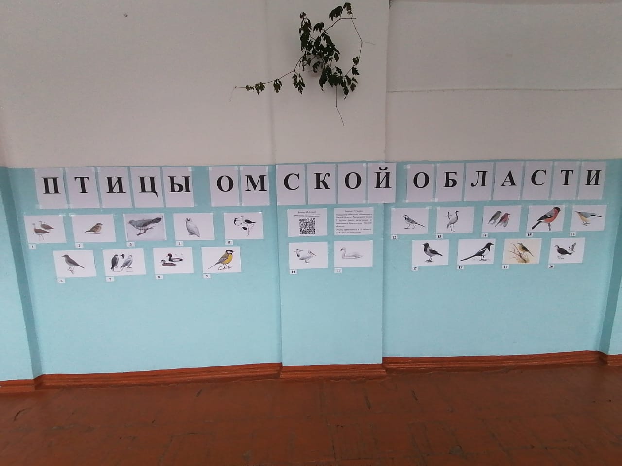 Акция, посвящённая международному дню птиц.